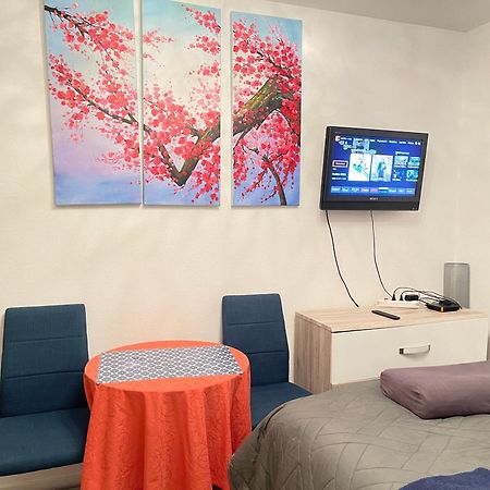 Top Studio Full Optional Saint Louis Vicino Stazione Saint Louis 68300 France エクステリア 写真
