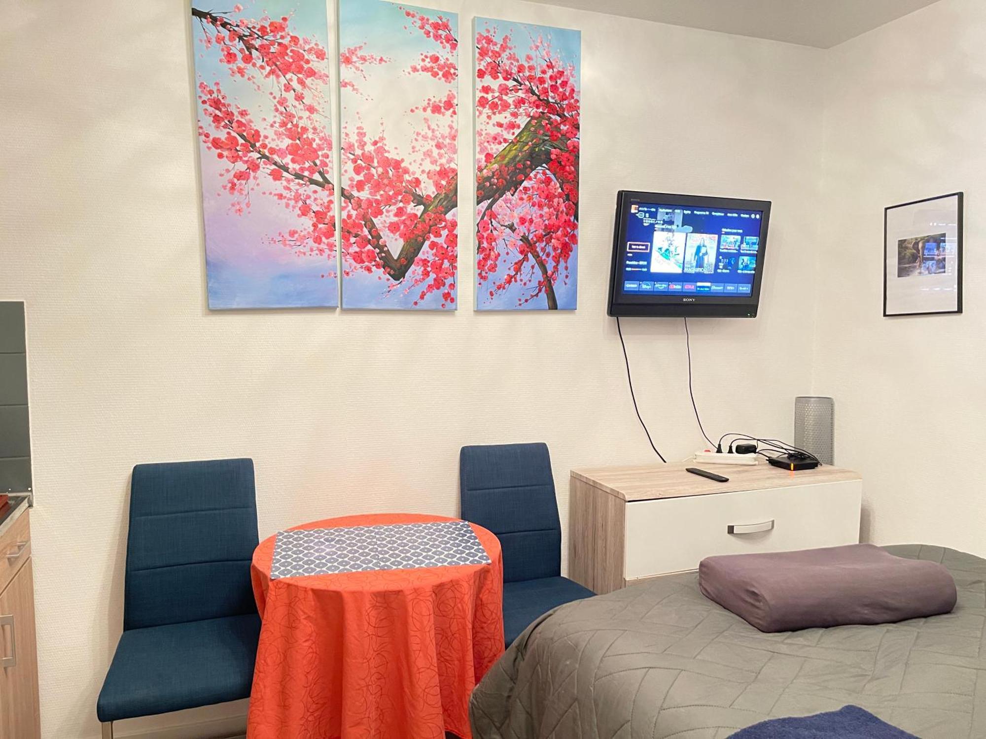 Top Studio Full Optional Saint Louis Vicino Stazione Saint Louis 68300 France エクステリア 写真
